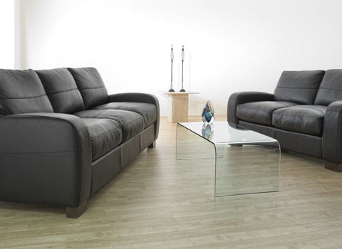 Sofas in a roomset for furniture advertisment