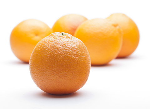 Oranges photographed on a white background