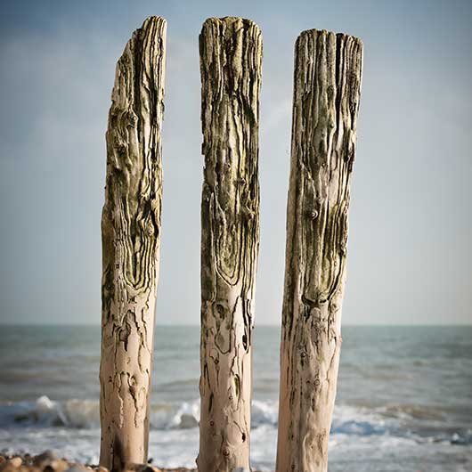 Parts of a worn breakwater on a beach in Kent